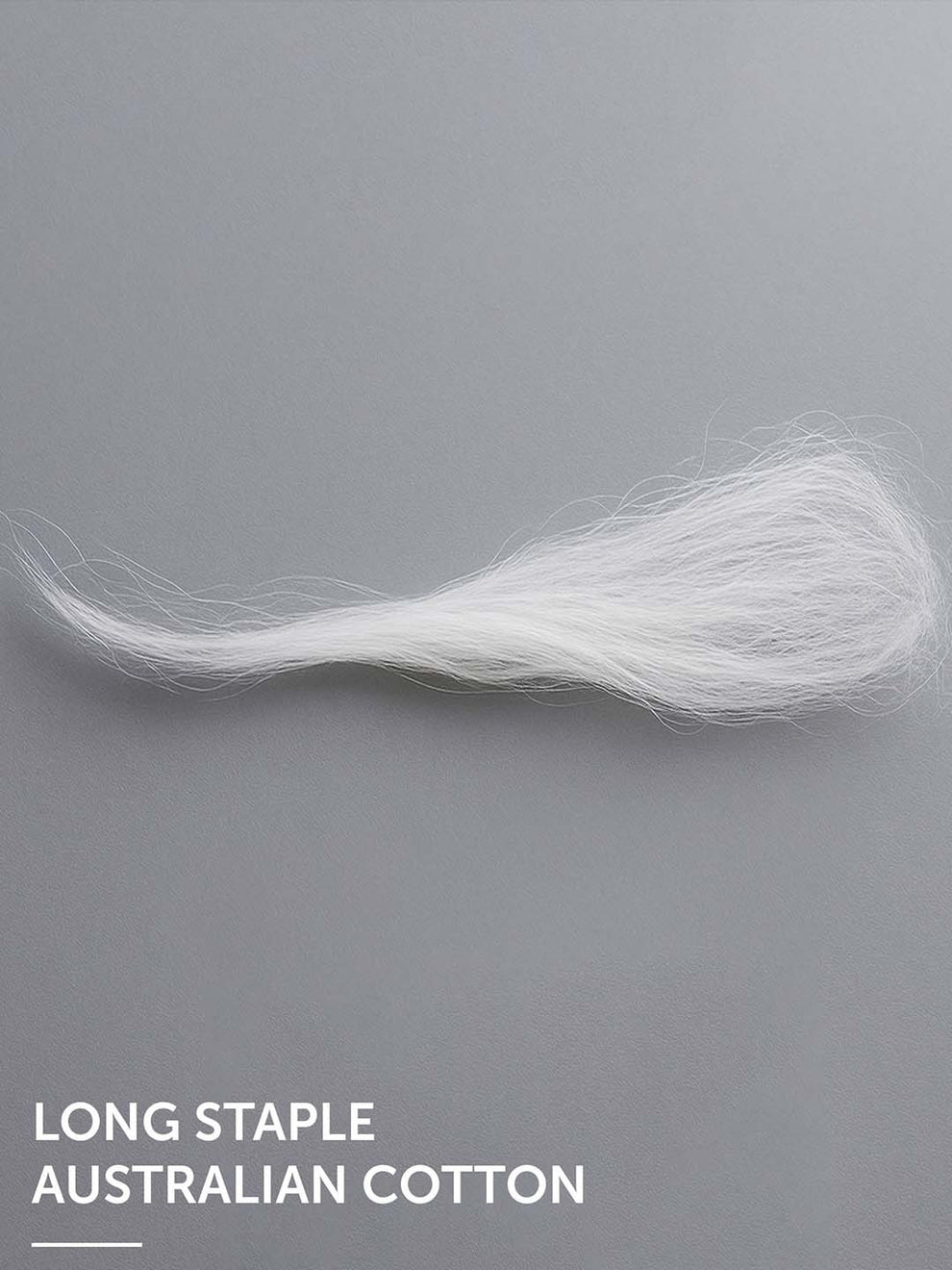 White long staple Australian cotton on a gray background